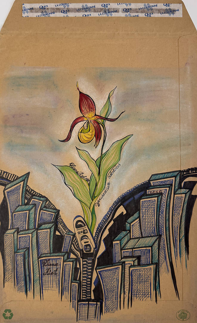 Surreal drawing of a Lady’s Slipper orchid endangered by closing geometric skyscraper forms