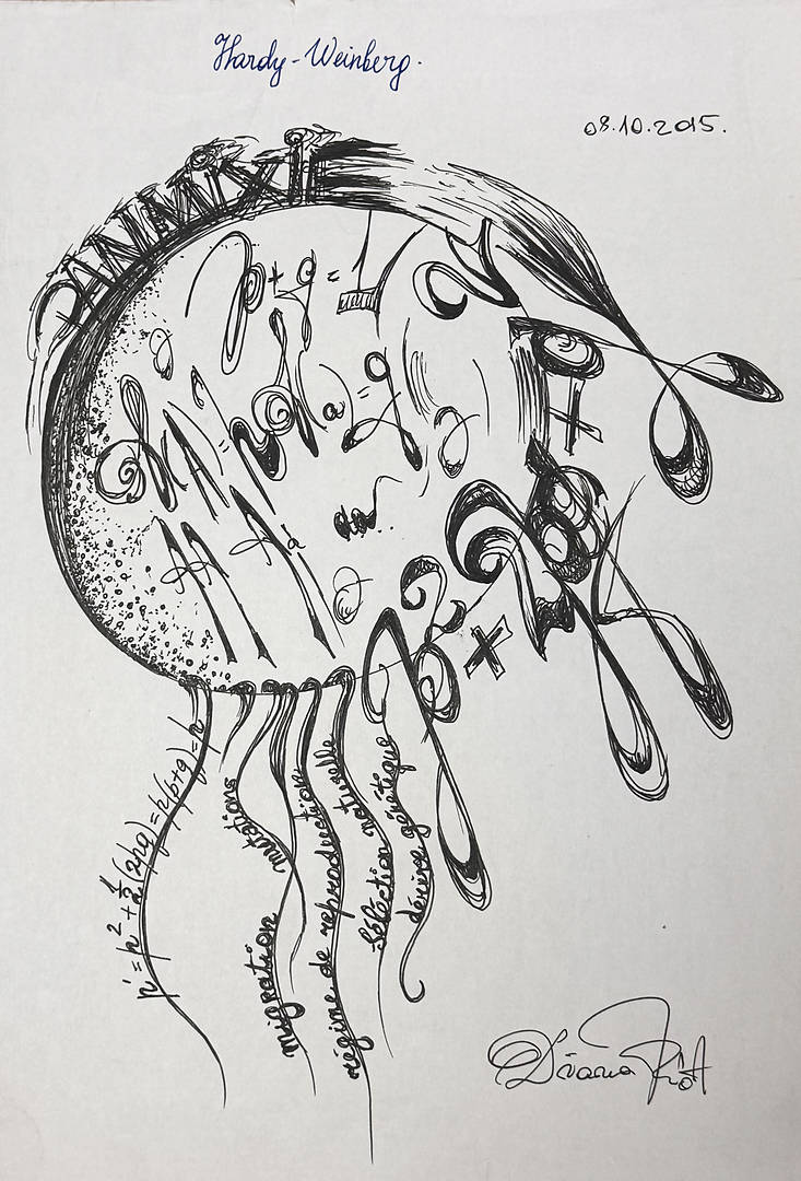 Conceptual pen drawing inspired by the Hardy–Weinberg model on A4 paper