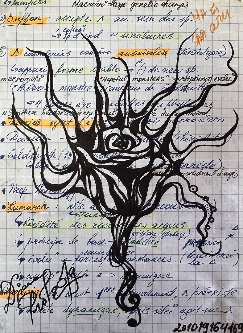 Octopus Rose — marker and pen on A5 paper melding rose and octopus tentacles