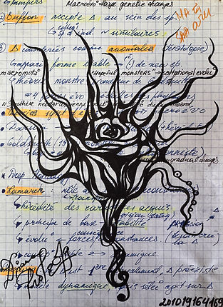Octopus Rose — marker and pen on A5 paper melding rose and octopus tentacles
